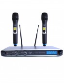 DSE W279 - set 2 microfoane wireless
