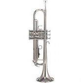 Parrot 6416S trompeta