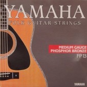 Yamaha FP 13