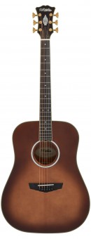 DAngelico Excel Lexington Autumn Burst