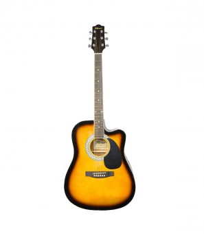 Flame DG 100 CT TS