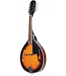 Flame MD228