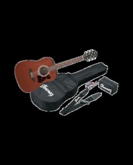Ibanez V54NJP-OPN