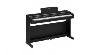 Yamaha YDP-146 B Arius