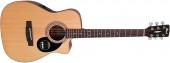 Cort AF515CE Open Pore