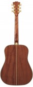 DAngelico Excel Lexington Autumn Burst