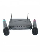 Digital W071 - Set microfoane wireless
