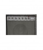 Flame B20 Bass Amp