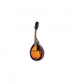 Flame MD228