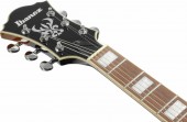 Ibanez AF75-BS