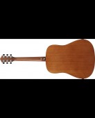 Ibanez V50NJP-OPN
