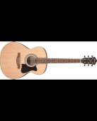 Ibanez VC50NJP-OPN