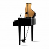 Kawai DG 30