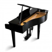 Kawai DG 30