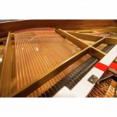 Kawai GL 10 WH/P