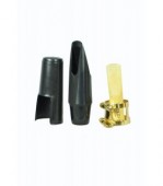 Parrot Alto Sax Mustiuc