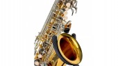 Parrot TY810 Two-Tone Sax Alto