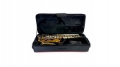 Parrot TY810 Two-Tone Sax Alto