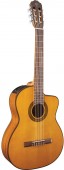 Takamine GC1CE-NAT