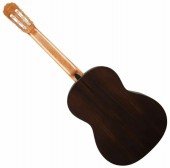 Takamine GC5-NATUR