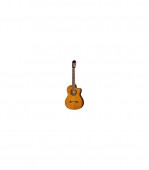Takamine GC5CE - Natural